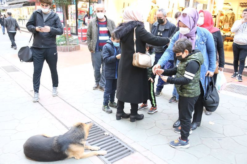 Kocaeli'de her gün mazgalı izleyen köpeğin sırrı ortaya çıktı! - Resim: 2