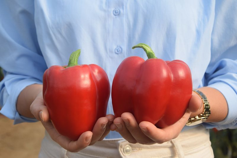 Antalya'da üretiliyor yüzde 98'i yurt dışına gidiyor! Baba mesleğini yapıyorlar - Resim: 3