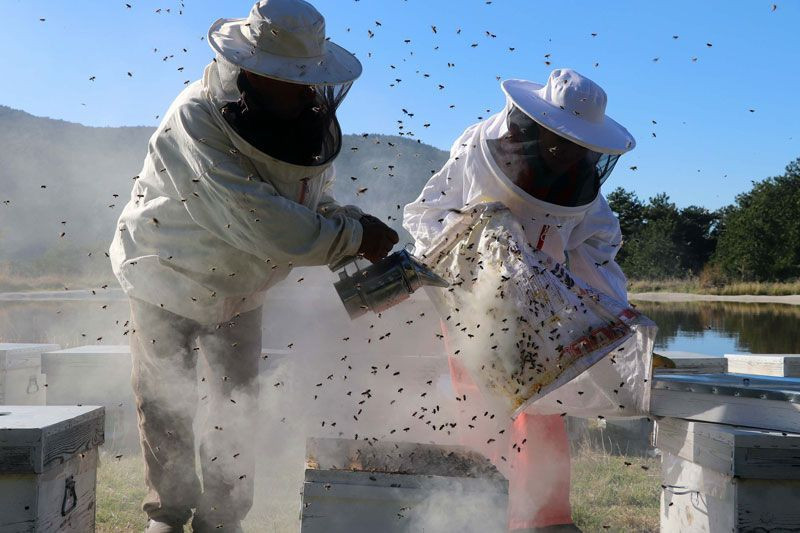 Kadın girişimci Kaz Dağları'na yerleşti işini kurdu yabancı ülkeler sipariş kuyruğunda - Resim: 1