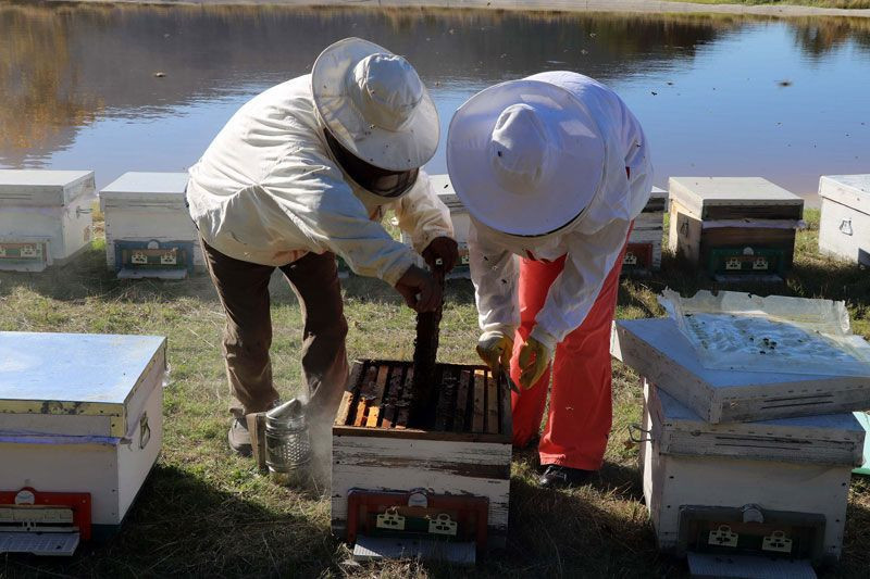 Kadın girişimci Kaz Dağları'na yerleşti işini kurdu yabancı ülkeler sipariş kuyruğunda - Resim: 2