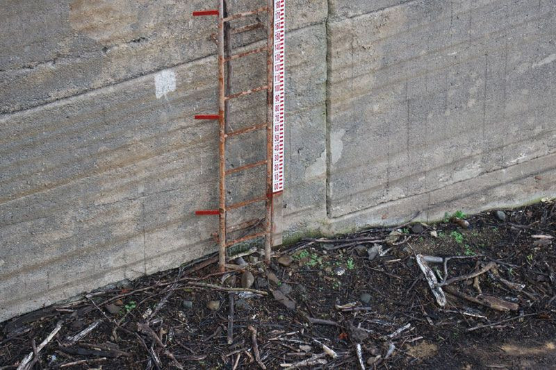 Yalova'da Gökçe Barajı’nda 40 günlük su kaldı 'acil durum' yönetimine geçildi - Resim: 3