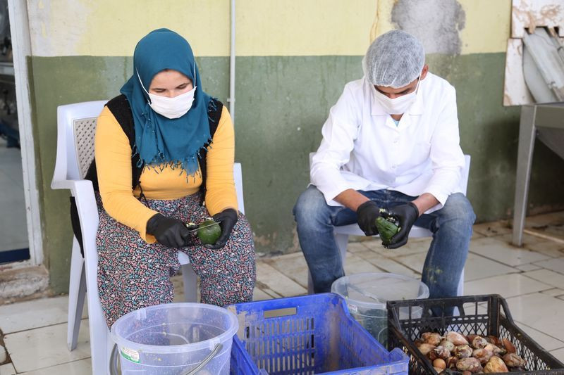 Antalya'da taleplere yetişemiyor fiyatı dudak uçuklatıyor! Yeşil altın deniyor - Resim: 3