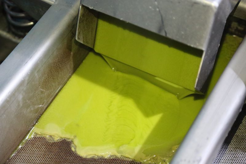 Antalya'da taleplere yetişemiyor fiyatı dudak uçuklatıyor! Yeşil altın deniyor - Resim: 2