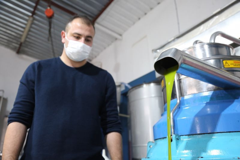 Antalya'da taleplere yetişemiyor fiyatı dudak uçuklatıyor! Yeşil altın deniyor - Resim: 1