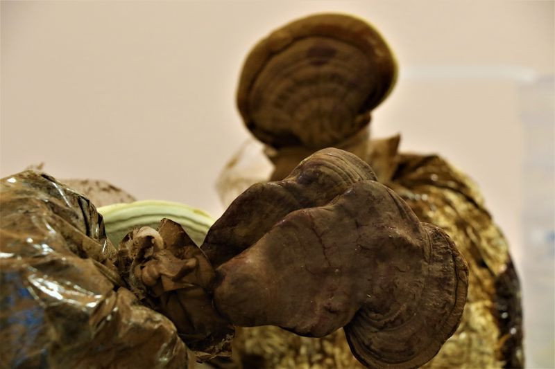 Çay kahve olarak içiliyor! Düzce'de özel ekip üretti fiyatı dudak uçuklattı - Resim: 2