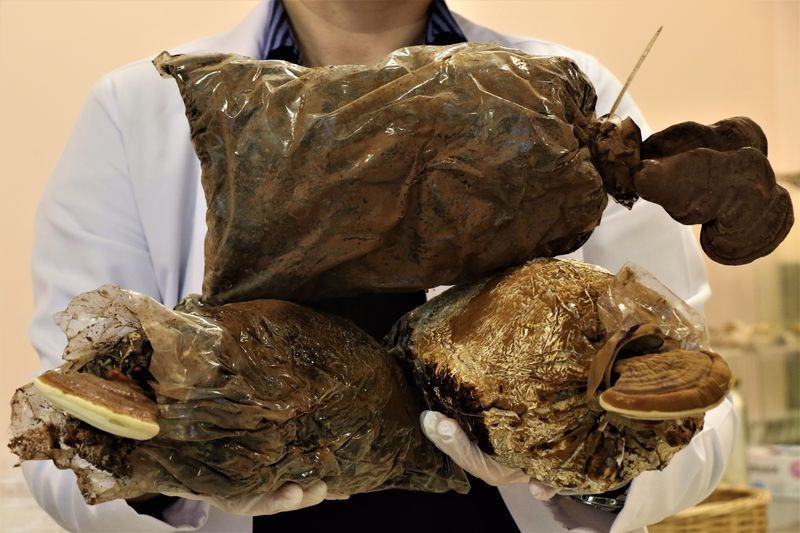 Çay kahve olarak içiliyor! Düzce'de özel ekip üretti fiyatı dudak uçuklattı - Resim: 3