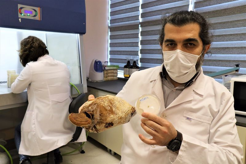 Çay kahve olarak içiliyor! Düzce'de özel ekip üretti fiyatı dudak uçuklattı - Resim: 4