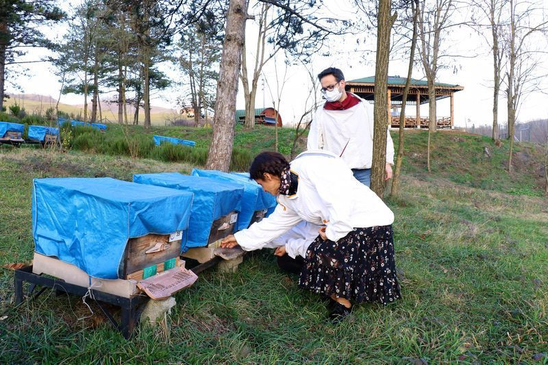 Çöpe atılıyordu! Düzce'de şimdi fiyatı dudak uçuklatıyor virüse iyi geliyor - Resim: 1