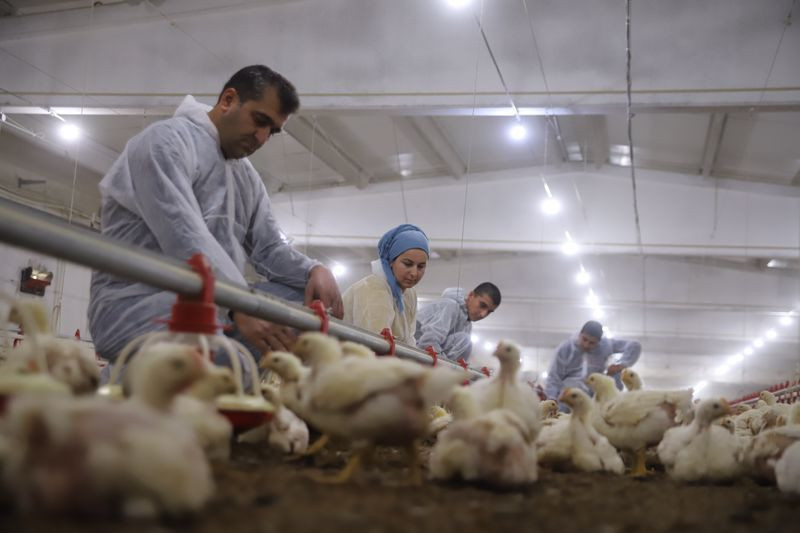 Elazığ'da kendi işini kurdu salgın onu etkilemedi! Şimdi paraya para demiyor - Resim: 3