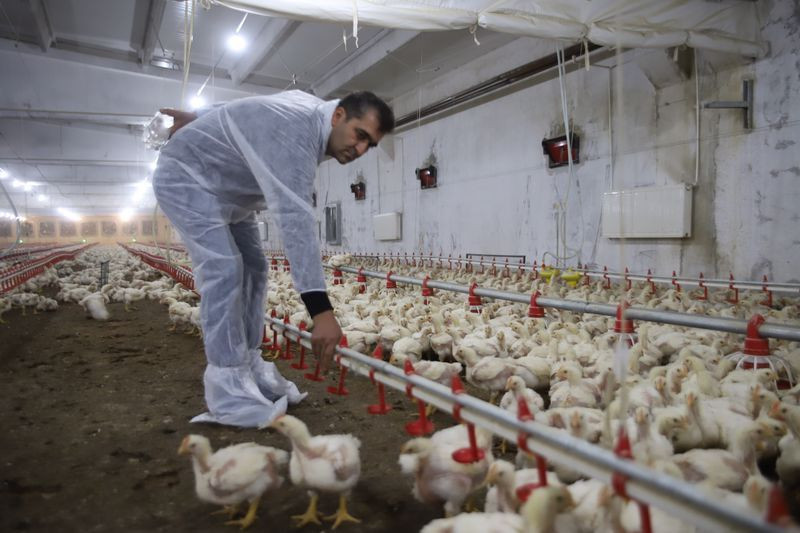 Elazığ'da kendi işini kurdu salgın onu etkilemedi! Şimdi paraya para demiyor - Resim: 4