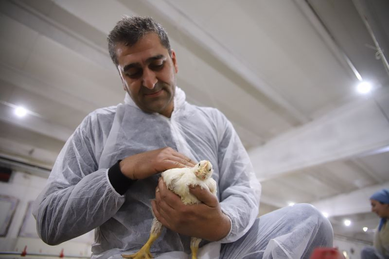 Elazığ'da kendi işini kurdu salgın onu etkilemedi! Şimdi paraya para demiyor - Resim: 2