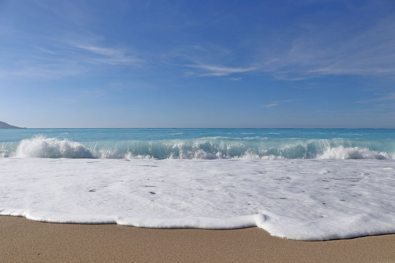 Muğla'da bu halde gören telefona sarıldı! İnsanlar hayret etti - Resim: 2