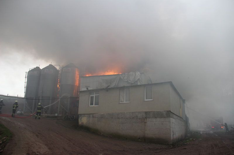 Kartepe'de tavuk çiftçiliğinde yangın! İtfaiye eri ağzıyla hava verdi hayata döndürmeye çalıştı - Resim: 1