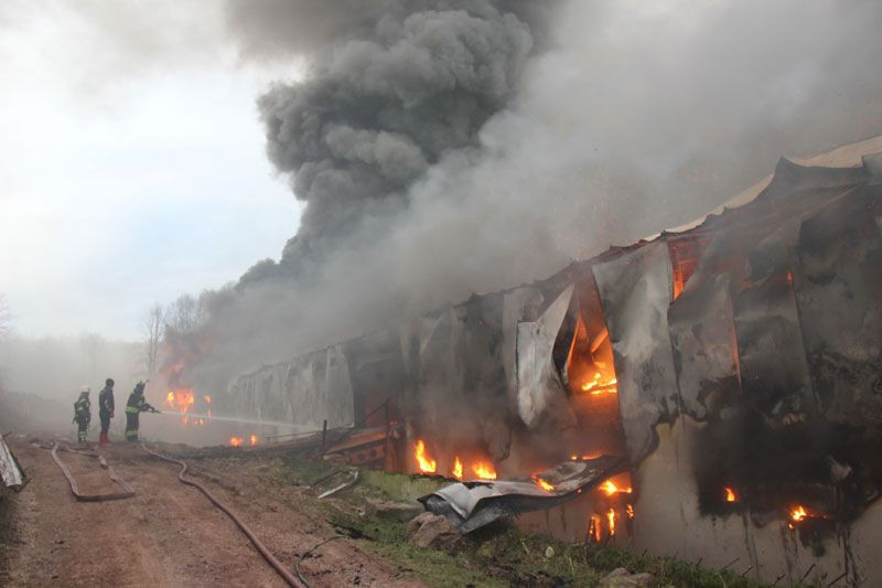 Kartepe'de tavuk çiftçiliğinde yangın! İtfaiye eri ağzıyla hava verdi hayata döndürmeye çalıştı - Resim: 2