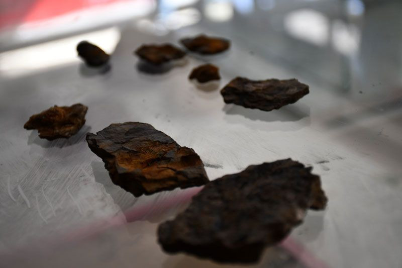 Şırnak dağlarında midye fosili bulundu - Resim: 1