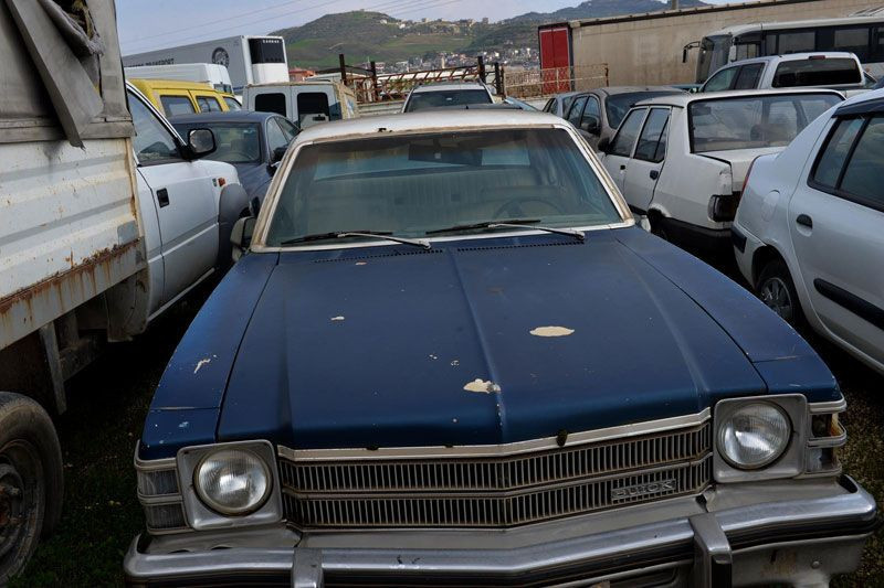 Hatay’da 80 milyon liralık milli servet otoparkta çürümeye terk edildi - Resim: 2