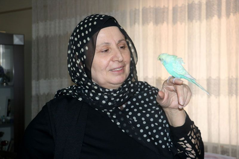 Sivas'ta kuş dile geldi PKK'ya beddua etti - Resim: 3