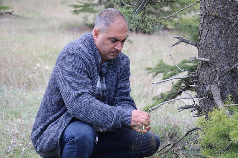 Yeni bir belamız daha oldu ilk olarak Meksika'da görüldü Avrupa'dan sonra Türkiye'ye giriş yaptı - Resim: 3