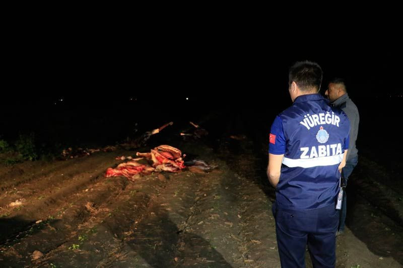 Adana'da polis ekipleri ihbar üzerine gitti korkunç manzarayla karşılaştı kesip parçalamışlar - Resim: 1