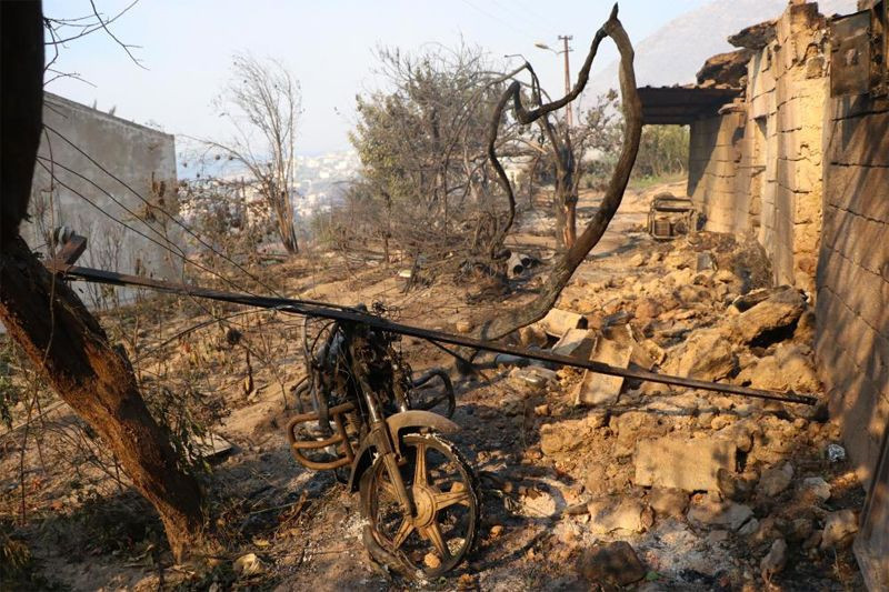 Mersin'deki orman yangını! Hamide Teyze gözyaşlarına boğuldu - Resim: 1