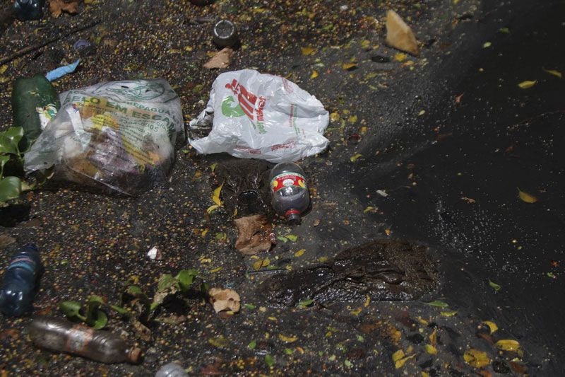 Çocuklar timsahlarla dolu simsiyah suda yüzüyorlar ürküten fotoğraflar - Resim: 4