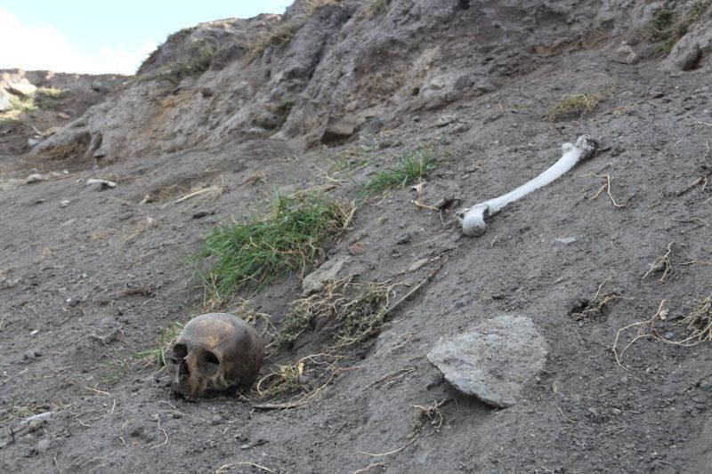 Erzurum'da korkutan görüntü: Her yerden kafatası ve kemikler çıkıyor - Resim: 2