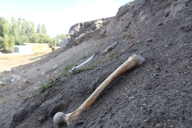 Erzurum'da korkutan görüntü: Her yerden kafatası ve kemikler çıkıyor - Resim: 3