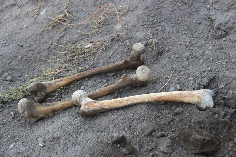 Erzurum'da korkutan görüntü: Her yerden kafatası ve kemikler çıkıyor - Resim: 4