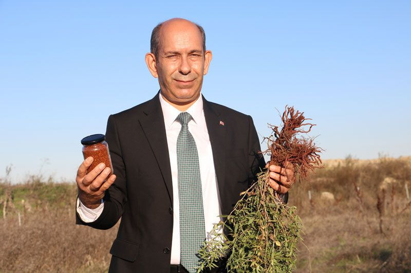 Formülü padişah fermanıyla yasaklanmıştı yıllar sonra Edirne’de hayat bulmaya başladı - Resim: 1