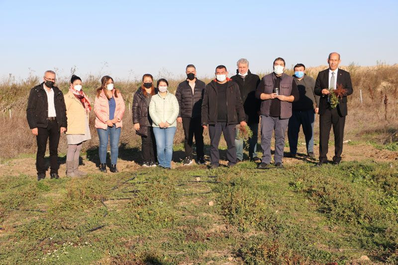 Formülü padişah fermanıyla yasaklanmıştı yıllar sonra Edirne’de hayat bulmaya başladı - Resim: 4