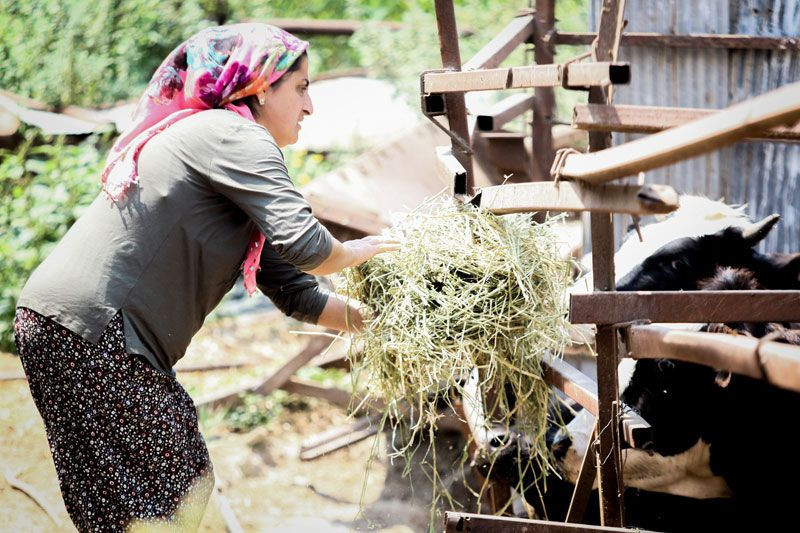 Antalya'da altınını satıp bu işe girdi 5 milyon liralık servet edindi eşi ilk başta gülmüş - Resim: 3