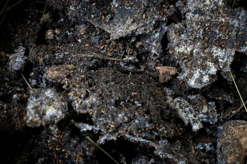 Koronavirüs şüphelisi yarasalardan elde edildi Düden Şelalesi bambaşka bir hale dönüştü - Resim: 4