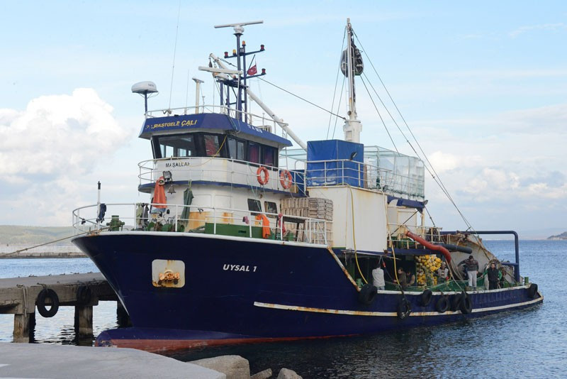 Soğuğa aldırmadan denizde ekmek mücadelesi veriyorlar - Resim: 1