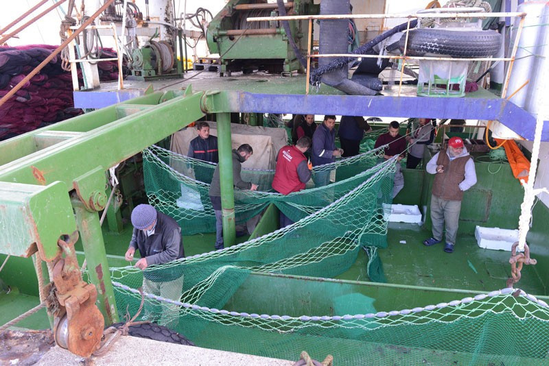 Soğuğa aldırmadan denizde ekmek mücadelesi veriyorlar - Resim: 2