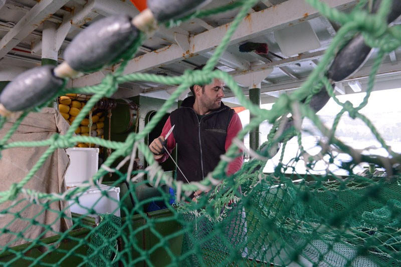 Soğuğa aldırmadan denizde ekmek mücadelesi veriyorlar - Resim: 3