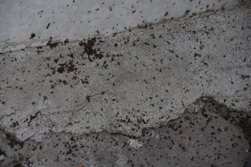 Eskişehir'de toz bulutuyla geldiği sanılıyor mahalleli evlerini boşalttı - Resim: 2