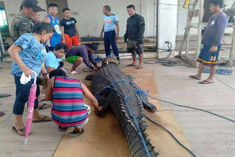 Timsah 10 yaşındaki çocuğu kardeşlerinin gözü önünde canlı canlı yedi - Resim: 4