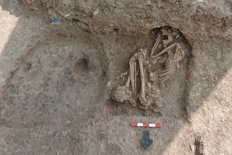 Bilecik'te apartman bahçesinde bulmuştu! Ortaya çıkanlar şaşkına çevirdi - Resim: 4