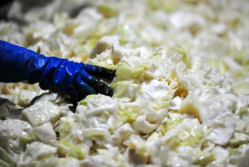 Bursa'da yazı aylarında bu köyün nüfusu ikiye katlanıyor adını duyan koşuyor - Resim: 3