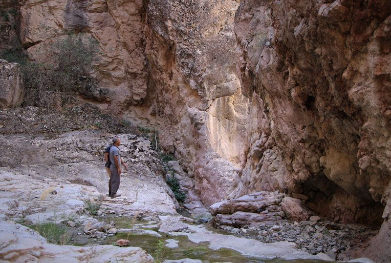 Elazığ'da tesadüfen keşfedildi 3 tarafı sularla çevrili fotoğraflanıp yetkililere haber verildi - Resim: 2