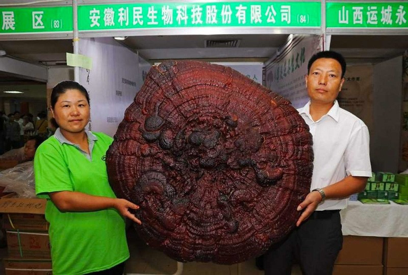 Bunu kaynatıp içen 120 yıl yaşıyor yok artık - Resim: 2