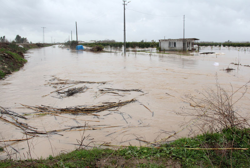 Adana felaketi yaşıyor! Çiftçilerin durumu çok vahim - Resim: 1