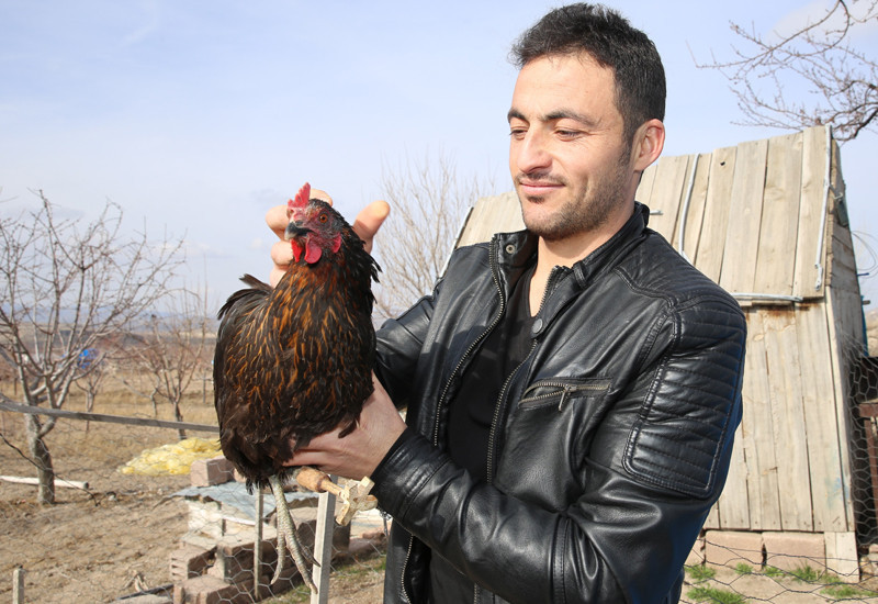 Yürüyemeyen tavuğuna ahşap protez yaptı - Resim: 3