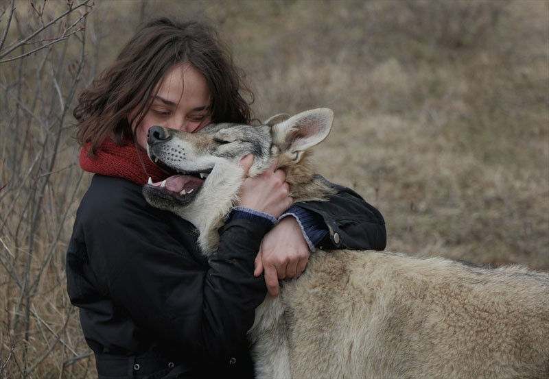 Ailenin üyelerine bakın Makedonya'da olay oldu - Resim: 2