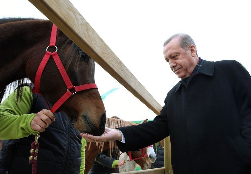 Erdoğan  atlı tedavi merkezini ziyaret etti - Resim: 3