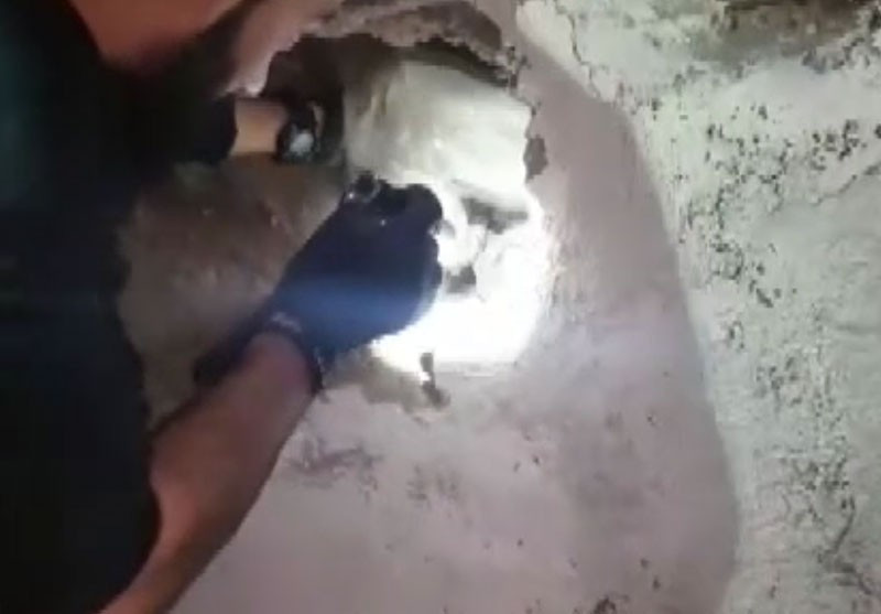 Şırnak'ta bulundu duvarı deldiler içinden çıktı! - Resim: 1