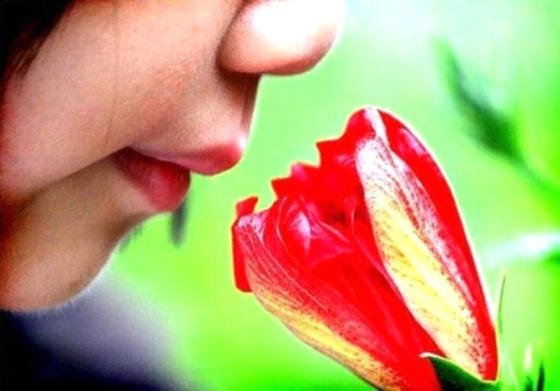 200 TL'nin arkasındaki yazıya bakın belki hiç görmediniz! - Resim: 3