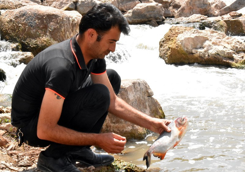 Kızılırmak'ta pirana dehşeti! 10 dakika boğuştu - Resim: 2