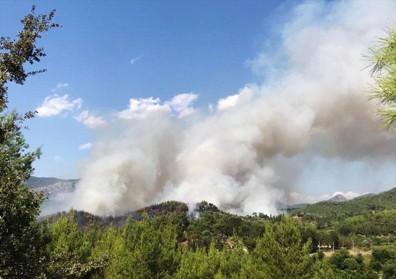 Dalaman'da son yılların en büyük yangını! Yürek sızlatan tablo gün ağarınca ortaya çıktı - Resim: 1