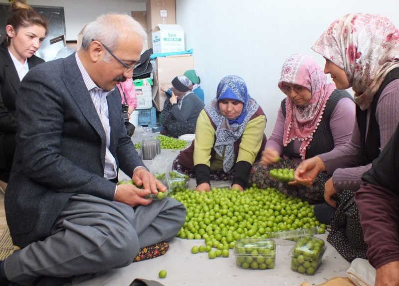 Bakan Elvan şalvar giyip erik paketledi - Resim: 3